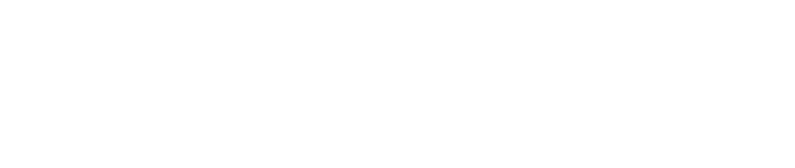 opus automazione