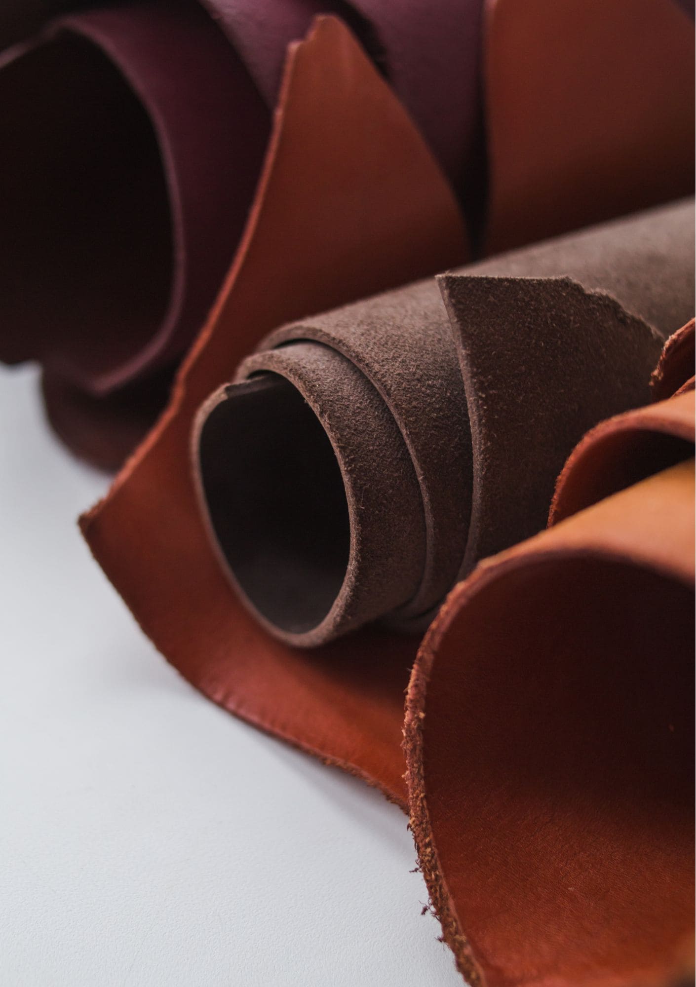 Pelletteria & Tessile